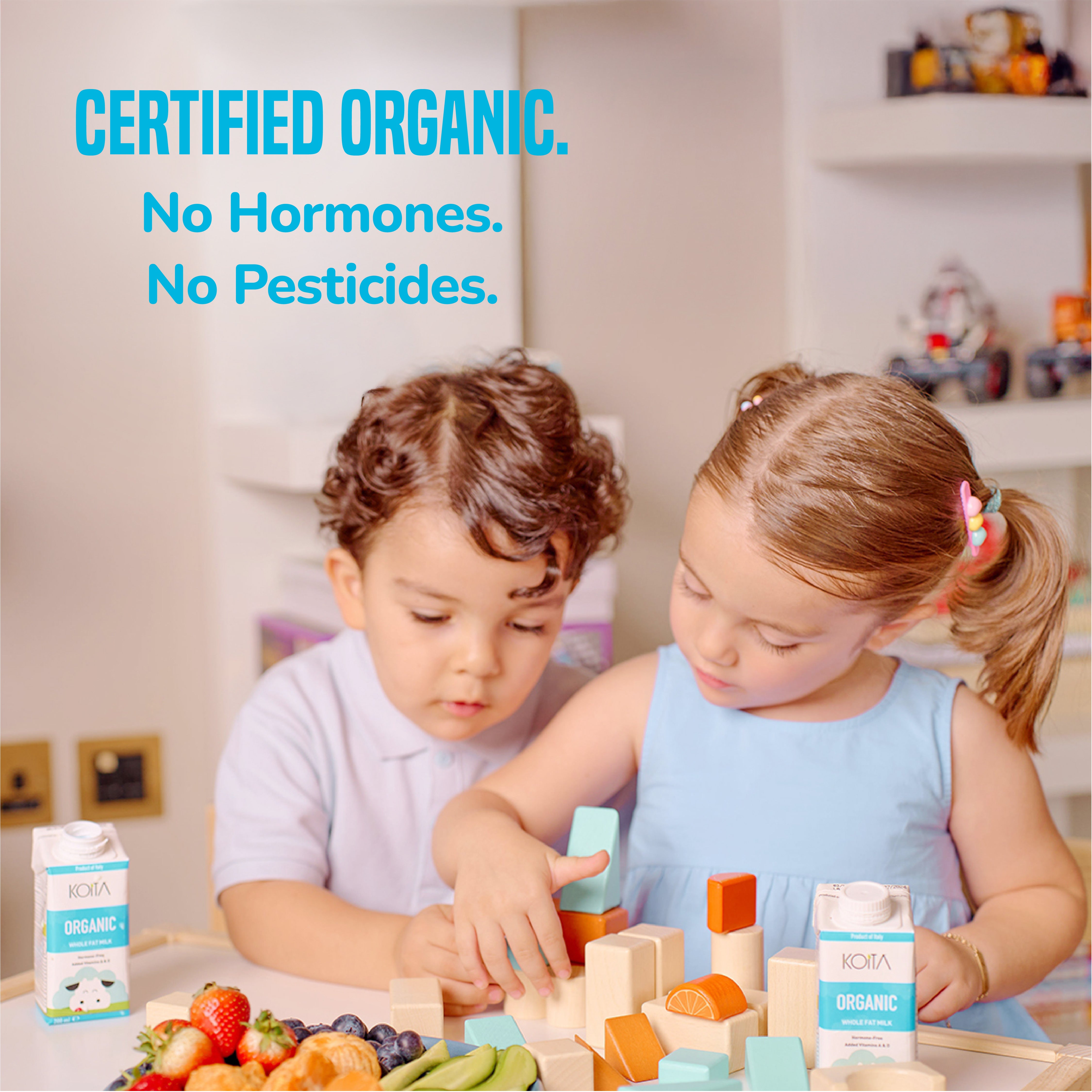 Organic Whole Fat Milk 200ML