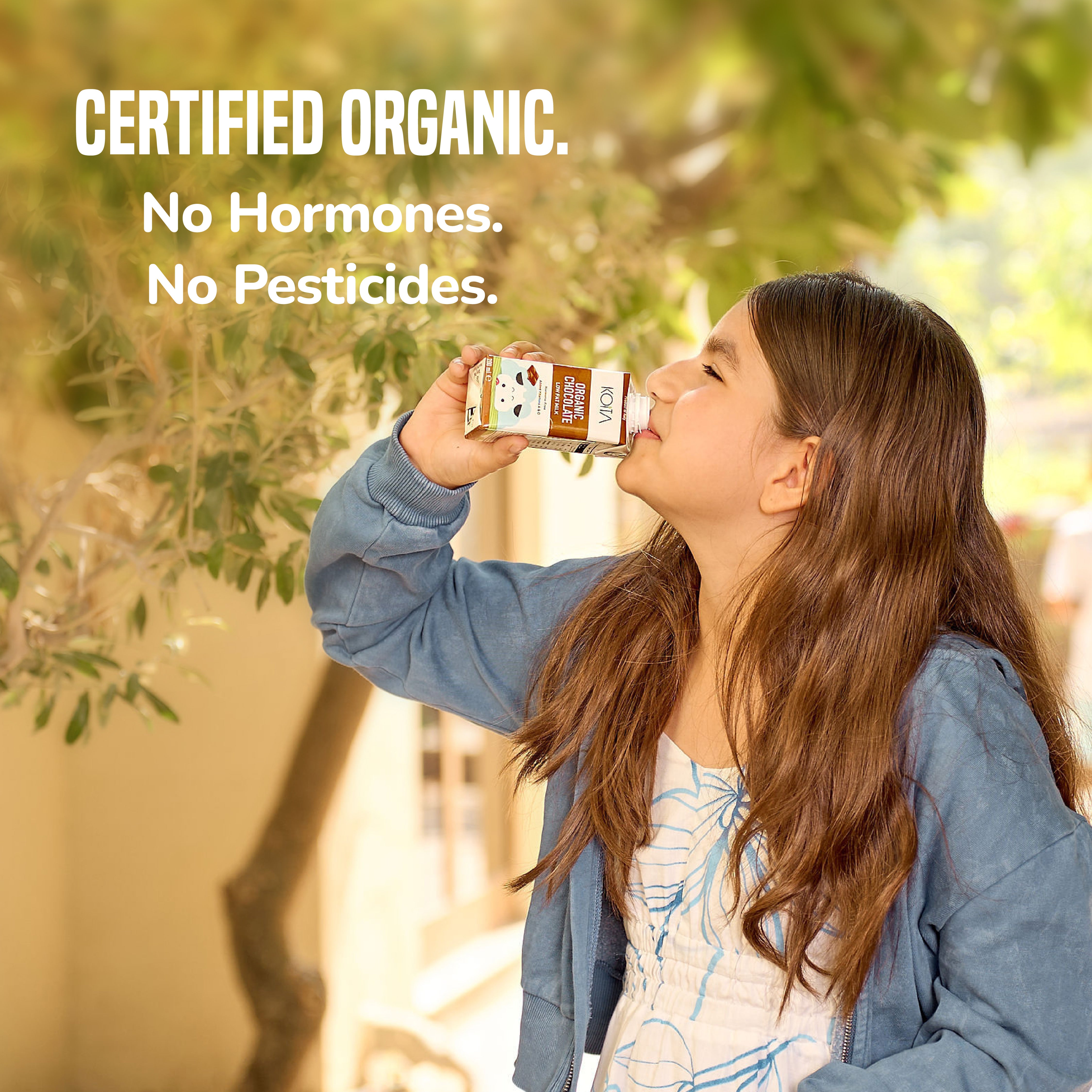 Organic Chocolate Low Fat Cow Milk 200ml