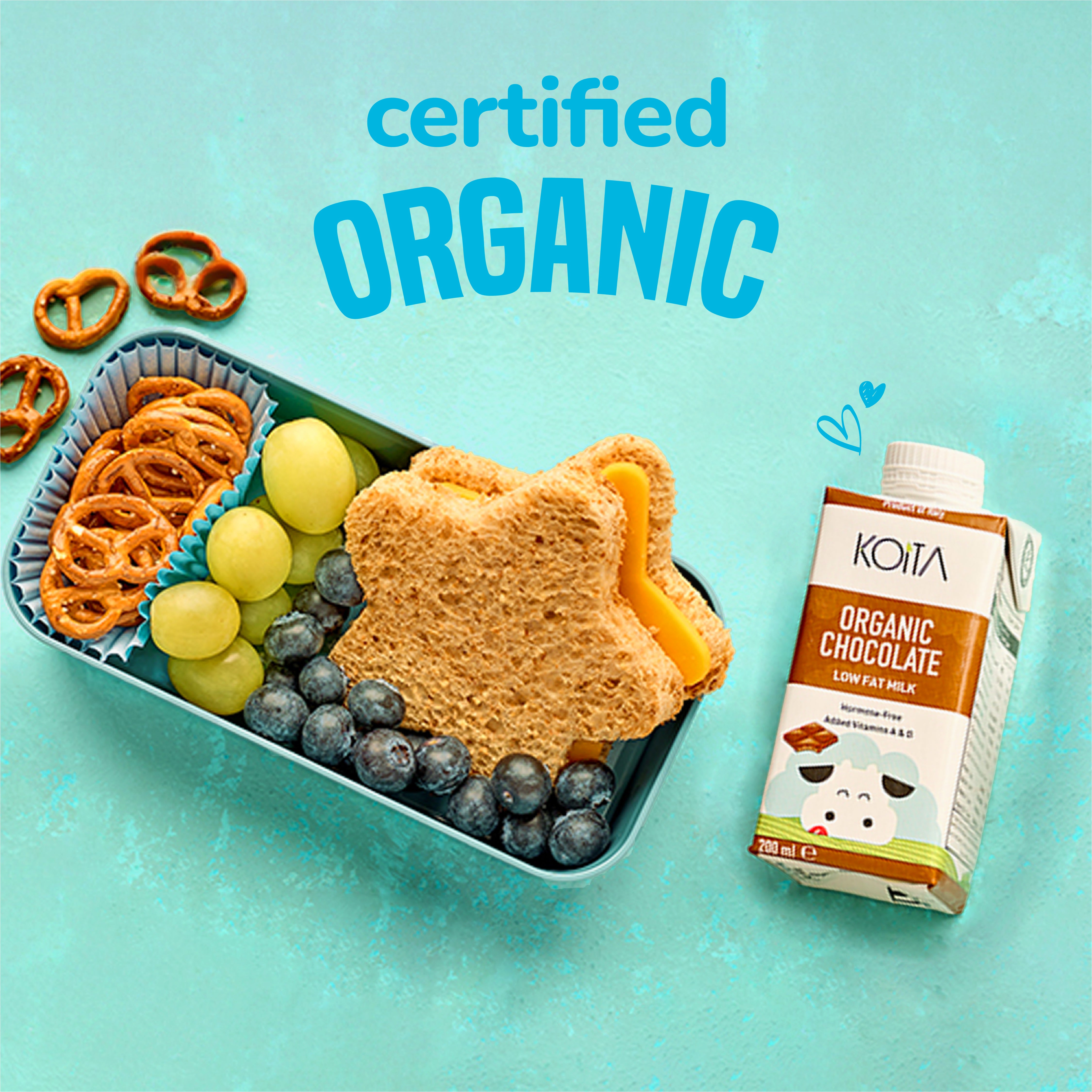 Organic Chocolate Low Fat Cow Milk 200ml