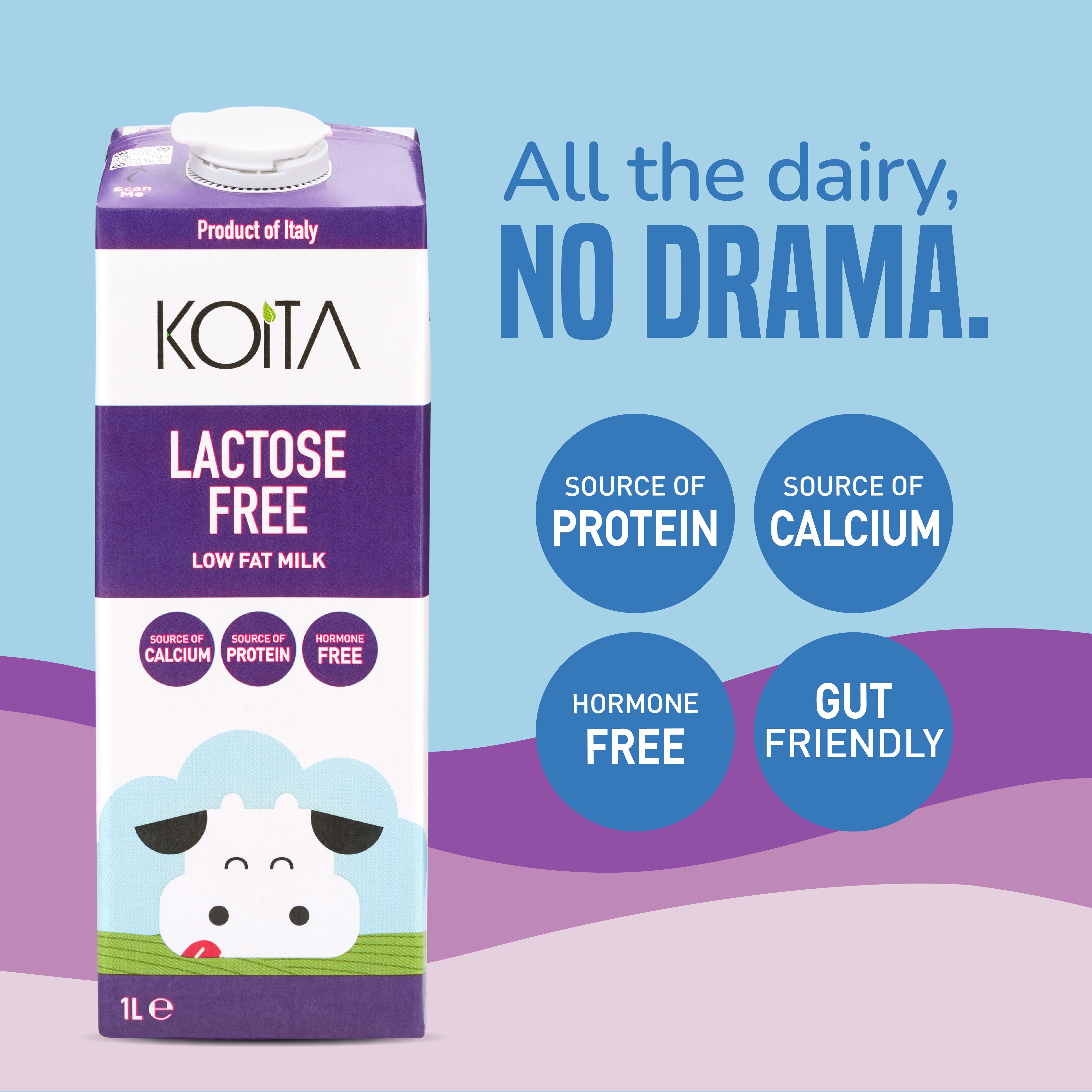 Lactose-Free Low Fat Milk 1L