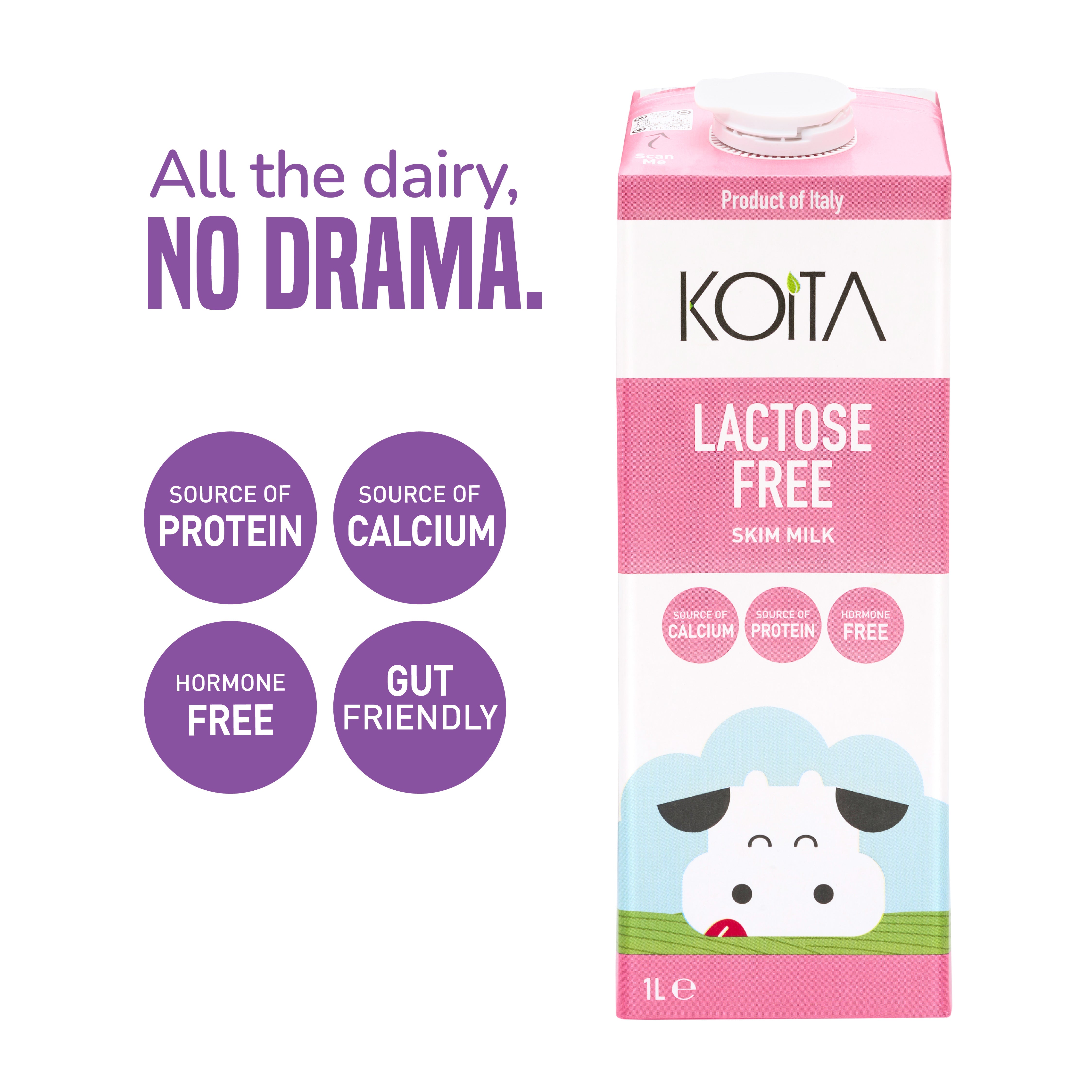 Lactose-Free Skim Milk 1L