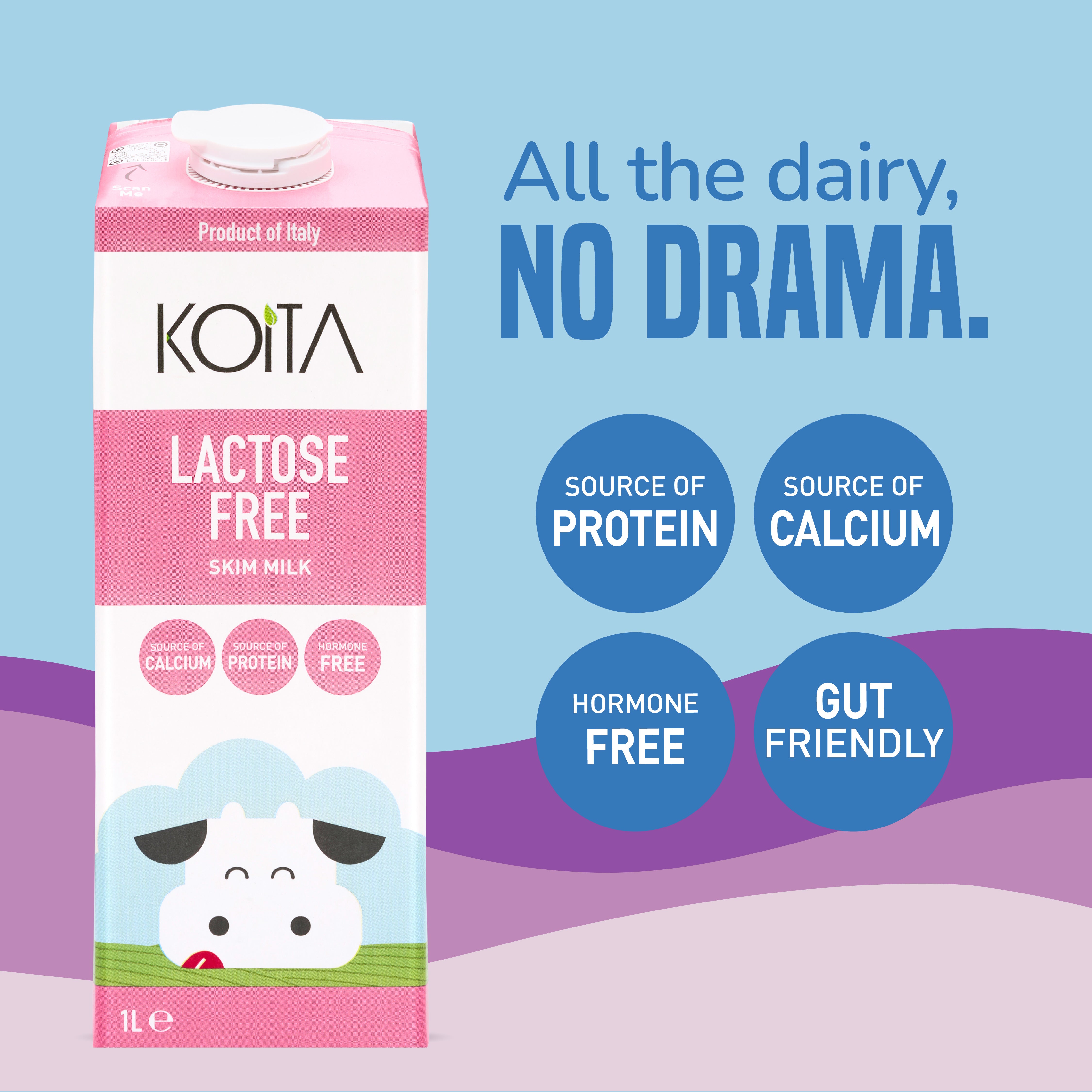 Lactose-Free Skim Milk 1L