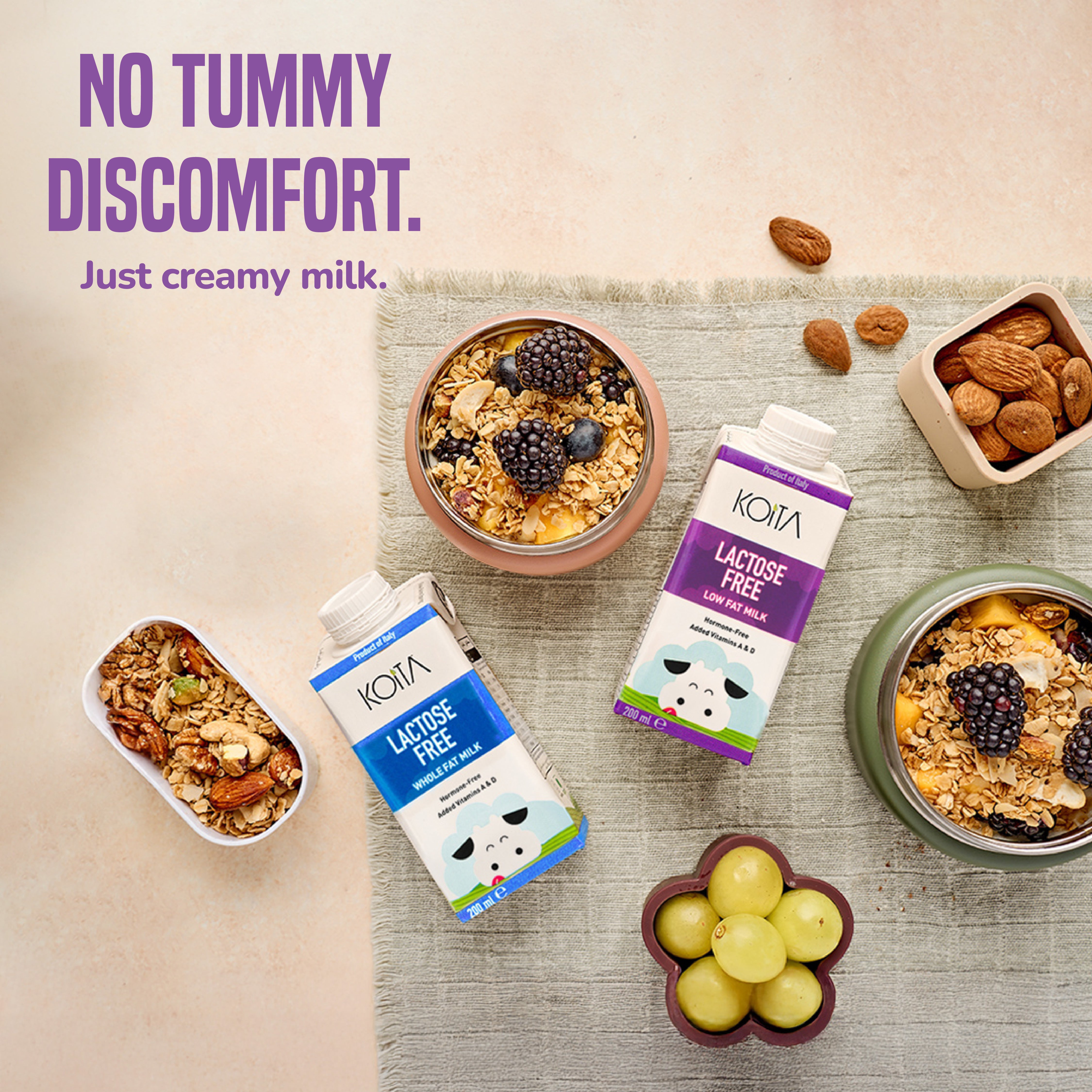 Lactose-Free Low Fat Milk 200ml