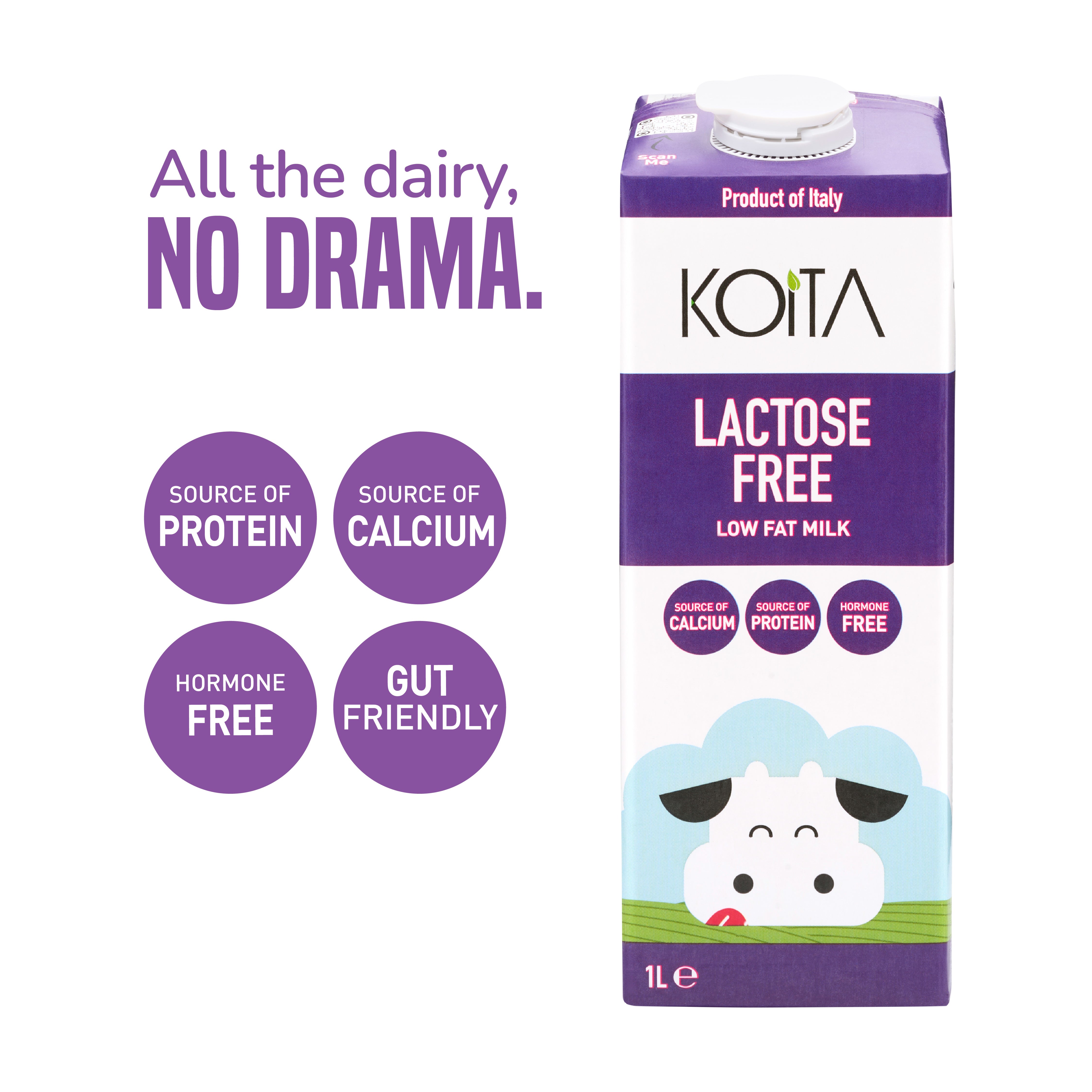 Lactose-Free Low Fat Milk 1L