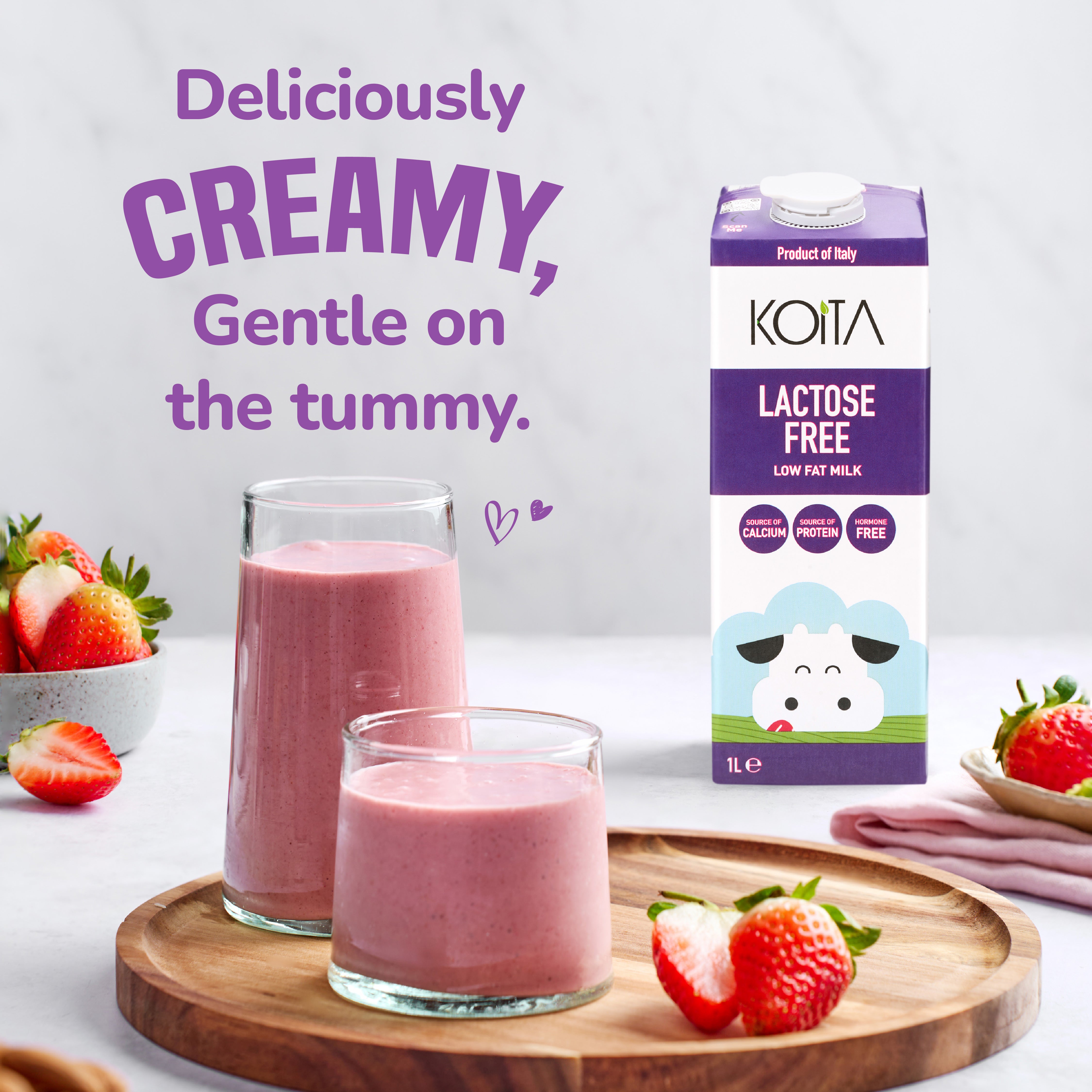 その他 Milk Lactose-Free Low Fat Milk 1L